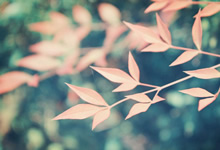 拜仁慕尼黑中场因伤缺席，球队控球能力受损