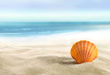 球员技艺精湛，深受球迷喜爱的风格