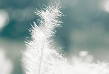 卡佩罗率队势如破竹，创造连胜纪录