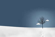 步行者将赴客场挑战76人，两支强队将展开对决