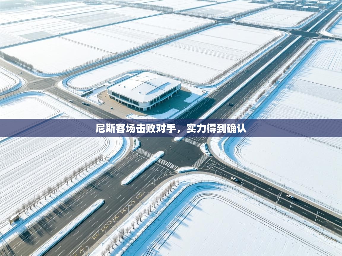 尼斯客场击败对手,实力得到确认 第2张